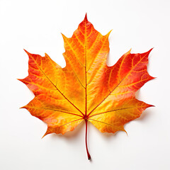 Obraz premium set of leaves, generative ai