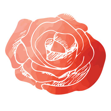 Digital png illustration of red rose on transparent background