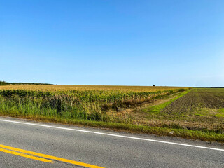 clean and blue sky field near the highway landscape view