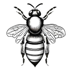 bee illustration design with black color, transparent background, generative ai
