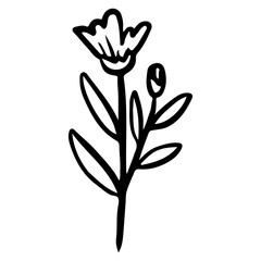 Floral Hand drawn Element