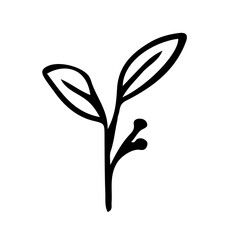 Obraz premium Floral Hand drawn Element