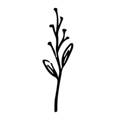 Floral Hand drawn Element