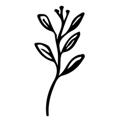 Floral Hand drawn Element