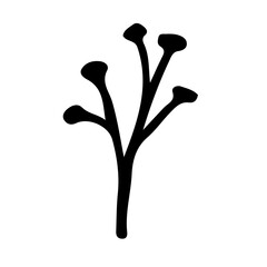 Floral Hand drawn Element