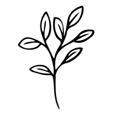 Floral Hand drawn Element