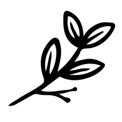 Floral Hand drawn Element