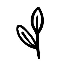 Floral Hand drawn Element