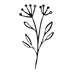 Floral Hand drawn Element