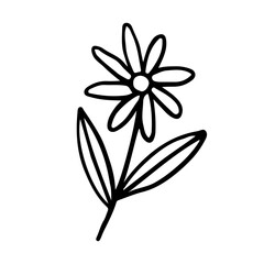 Floral Hand drawn Element