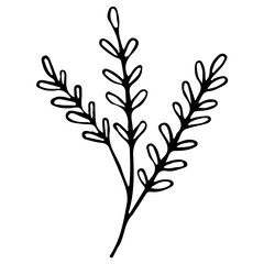 Floral Hand drawn Element