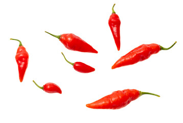 Red chili peppers isolated white background. Close-up