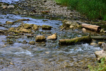 Stream in the Canyon Wutachschlucht in the Black Forest, Baden - Württemberg
