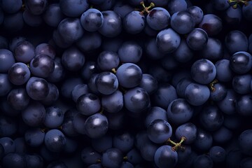Fototapeta premium Flat lay background of vines, lots of organic blue dark grapes.