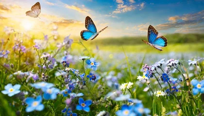 Fototapeten meadow with flowers and butterflies © Ümit