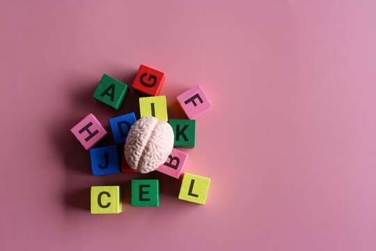 Human brain surrounded by alphabet blocks on a pink background with copy space. Montessori education and literacy concept.