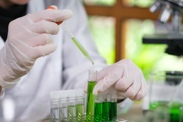 Young Scientist woman, laboratory and test tube with plants, research and analysis of leaves for...
