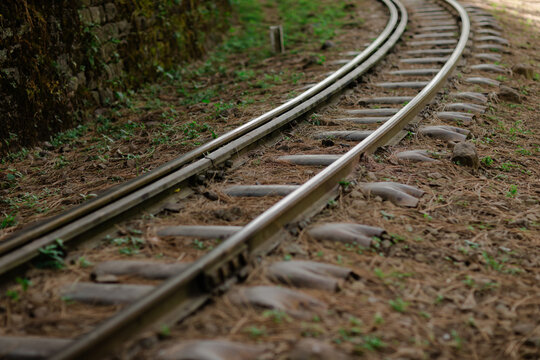 railroad tracks in the forest