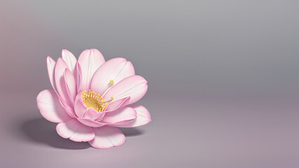 Flower Wallpapers No.88