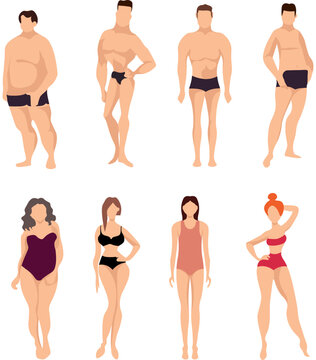 male and female body types