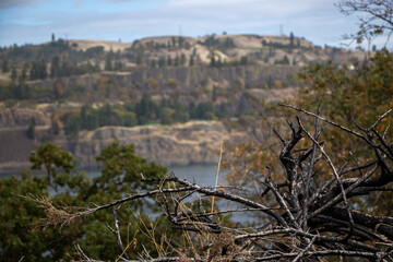 Oregon mountains view 