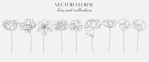 Continuous Line Drawing Set Of Plants Black Sketch of Flowers Isolated on White Background. Flowers One Line Illustration. Minimalist Prints Set. Vector EPS 10. 