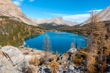 Beautiful Lower Skoki Lake High Angle View.  Scenic Autumn Colour Change Landscape.  Golden Larch Trees, Canadian Rocky Mountains Banff National Park