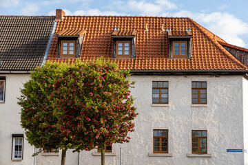 Bilder Impressionen aus Kroppenstedt Börde