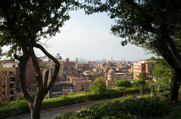 Cairo old town cityscape view from Al Azhar Park framed with trees, Egypt, Middle east urban panorama