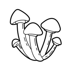 Mushrooms - honey fungus. Vector black white outline illustration. Design elements or page of children's coloring book.
