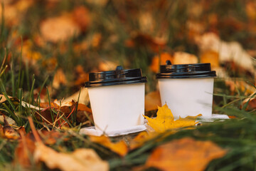 Two cups of coffee with a croissant on the open-air lawn in front of yellow leaves.