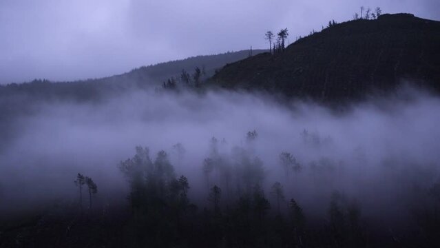 Clouds over forest and fog rising out of trees at monring hazy mist