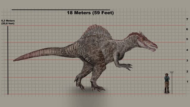 1 68 meters in feet sales