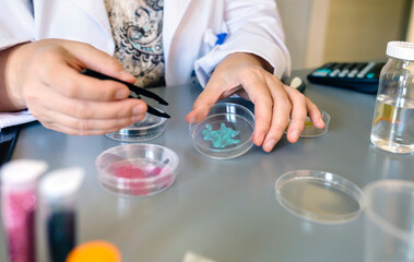 Unrecognizable female chemist technician hands holding a blue glitter sample over petri dish on a environment research laboratory. Concept of European Union ban use of microplastics.