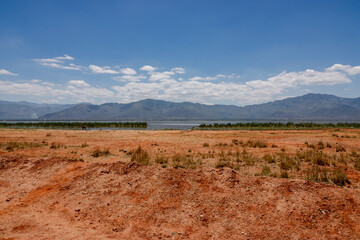 African Elephants covered with red mud at Lake Jipe in Tsavo West National Park in Kenya