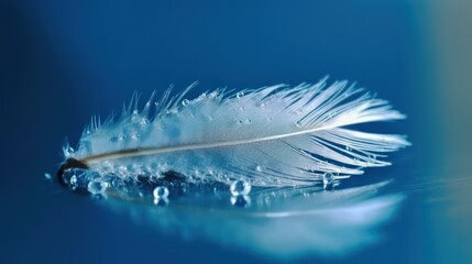 drops of water dew on a fluffy feather close-up macro view wallpaper background