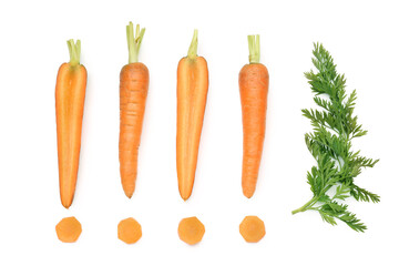 Fresh carrots and slices on orange background