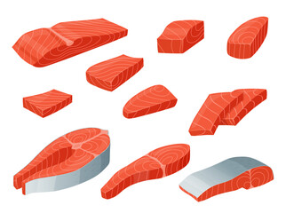 Red fish salmon pieces fillet meat and steak bones set isometric vector illustration