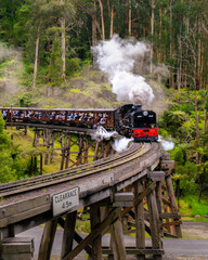 Steam train in the countryside (puffing billy railway)