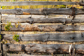 old wooden garden fence in autumn