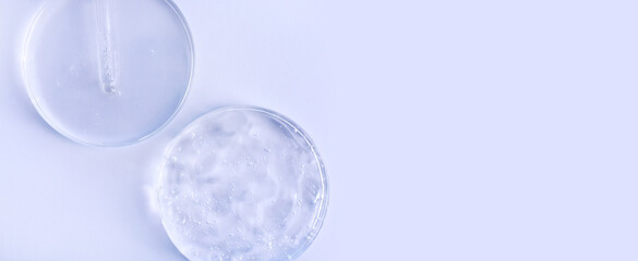 glass pipette serum gel closeup in petri dish on a light background with space for text