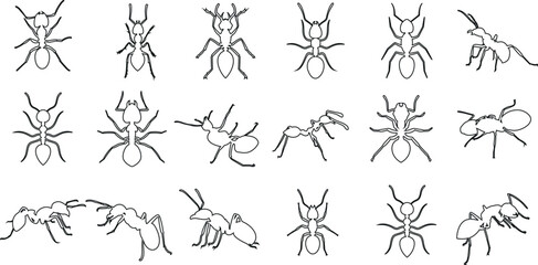 Ant Line Art - This vector illustration features a simple yet stylish line drawing of an ant. Perfect for use in web design, social media, or print.
