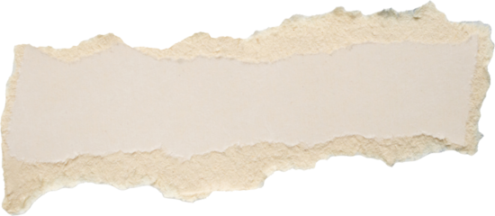 piece of white paper tear isolated on white background