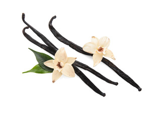 Aromatic vanilla sticks and flowers on white background
