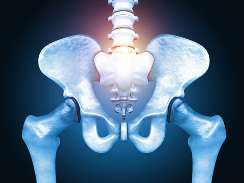 Human hip pain concept. Hip skeleton. 3d illustration.