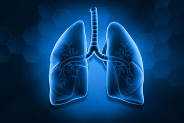Human lunges on blue color background. 3d illustration..