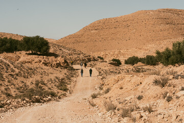 Desert Mountain Pathway