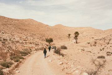 Desert Mountain Pathway