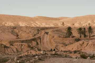 Desert Mountain Pathway