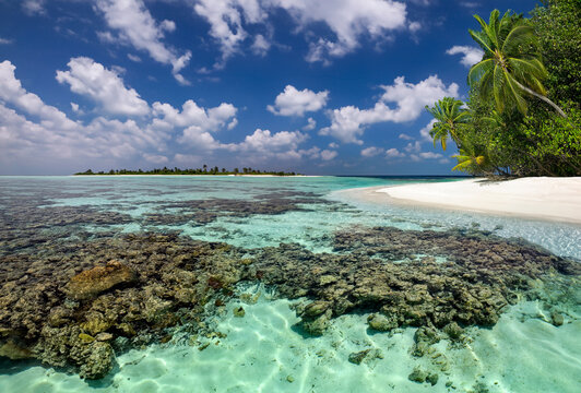 Coral reef in the shallow water of a tropical lagoon in South Ari Atoll in the Maldives.